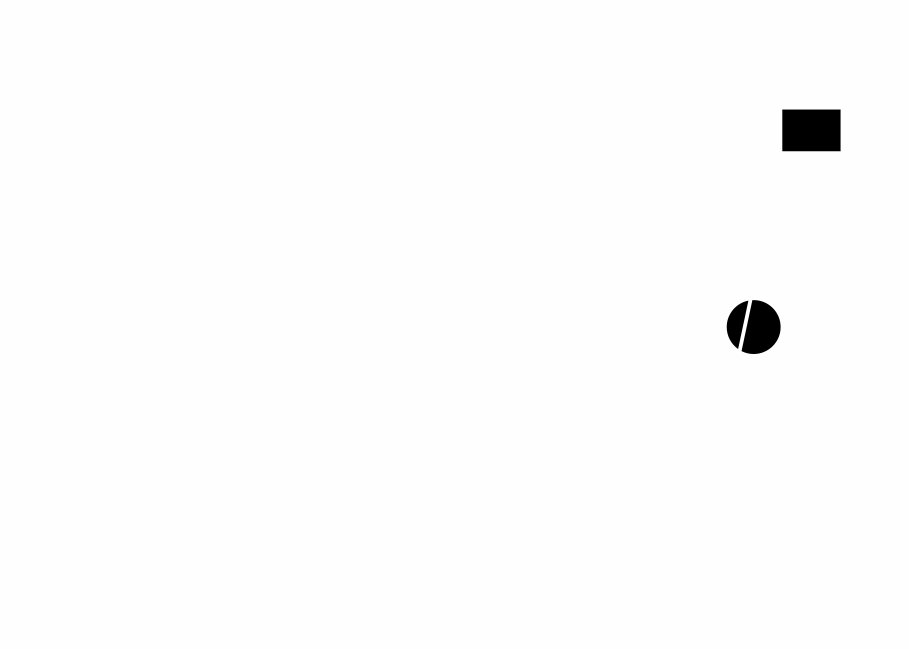 Ducati 999 R Owners Manual preview img 2