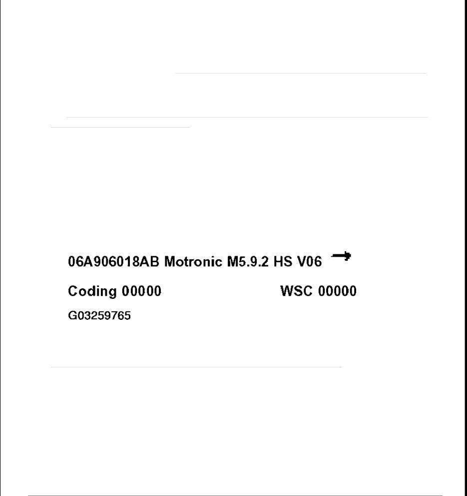 1998-2008 Volkswagen New Beetle Service & Repair Manual preview img 2