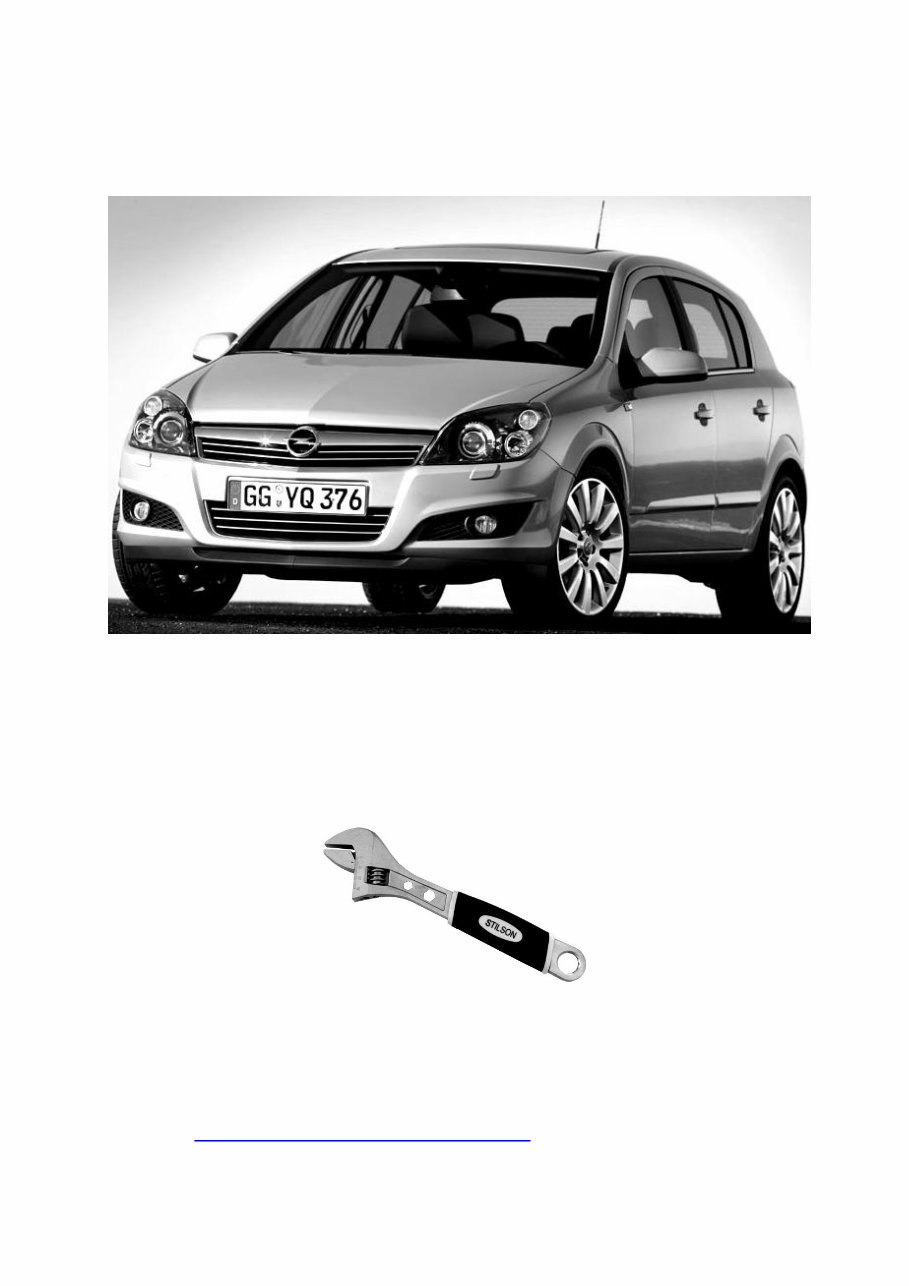 2004-2011 Opel Astra H Service & Repair Manual preview img 1