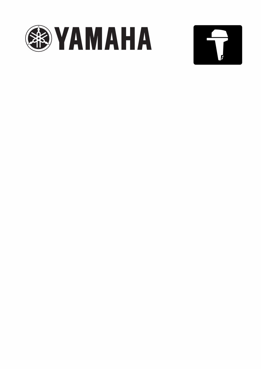 2004-2006 Yamaha F150 4-Stroke Outboard Repair Manual preview img 1