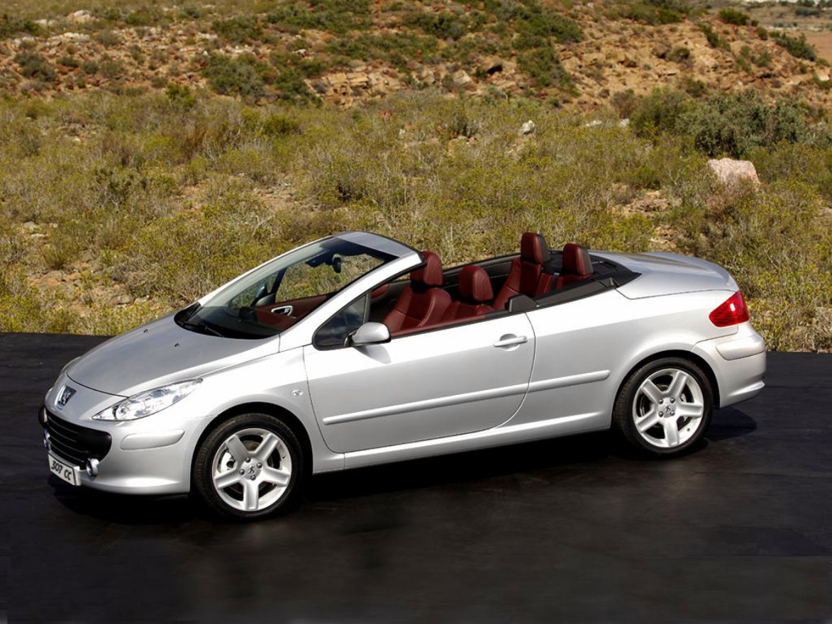 2005 Peugeot 307CC Service & Repair Manual preview img 1