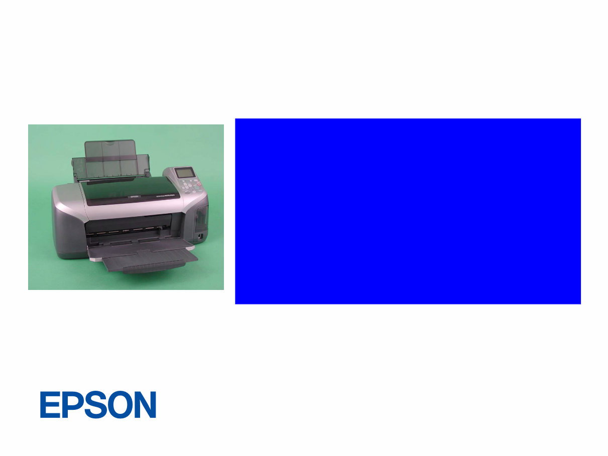 Epson Stylus Photo R300/R310 Color Inkjet Printer Service Repair Manual preview img 1