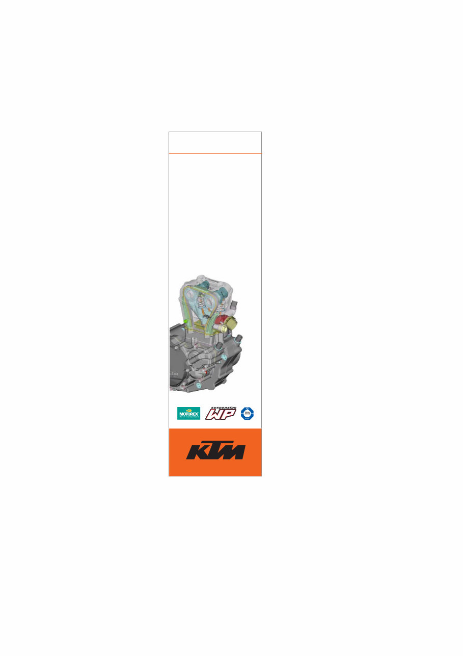 2005-2006 KTM 250 SX-F OEM Service & Repair Manual preview img 3