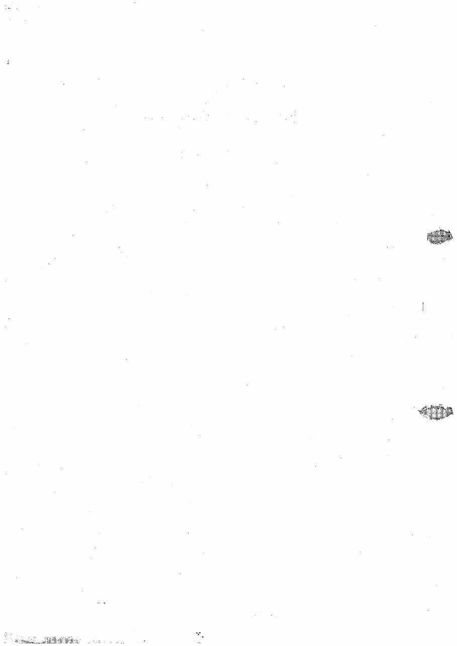 SsangYong Musso Service & Repair Manual preview img 2