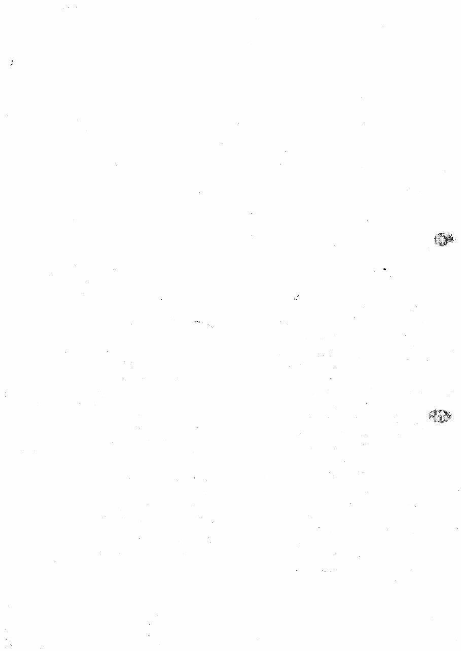 SsangYong Musso Service & Repair Manual preview img 4