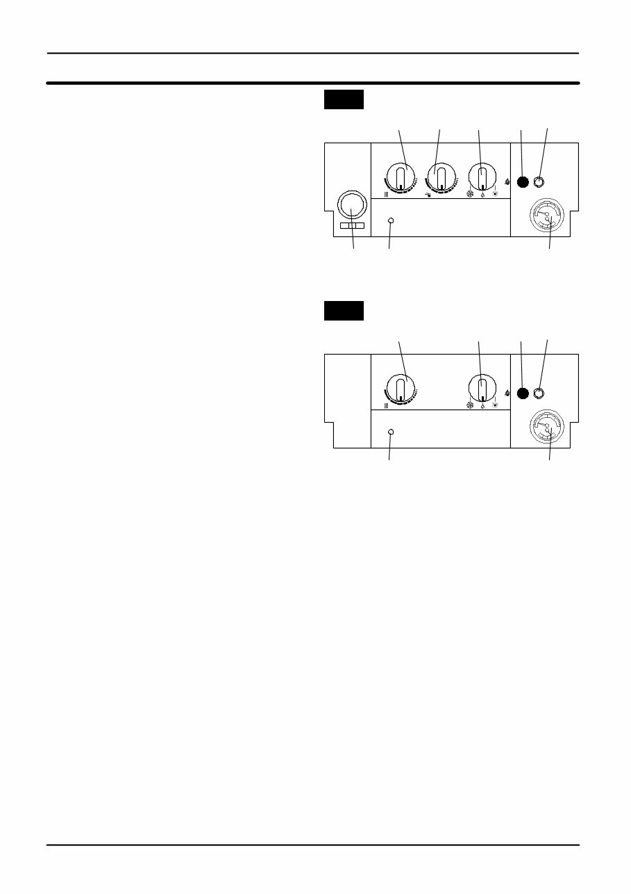 Biasi Boiler Service and Maintenance Manual. preview img 7