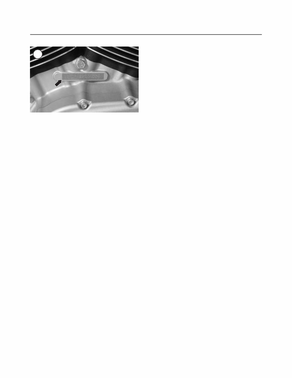 2004-2006 Harley-Davidson XL883/XL1200 Sportster Service & Repair Manual preview img 3