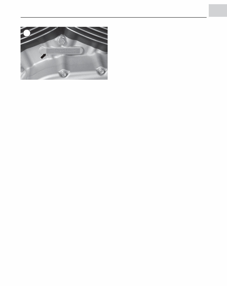 2008 Harley-Davidson XL1200C Sportster 1200 Custom Service & Repair Manual preview img 3