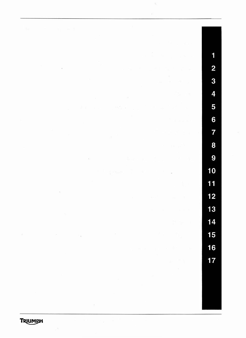 2010-2013 Triumph Tiger 800 / 800 XC (ABS) Service & Repair Manual preview img 3