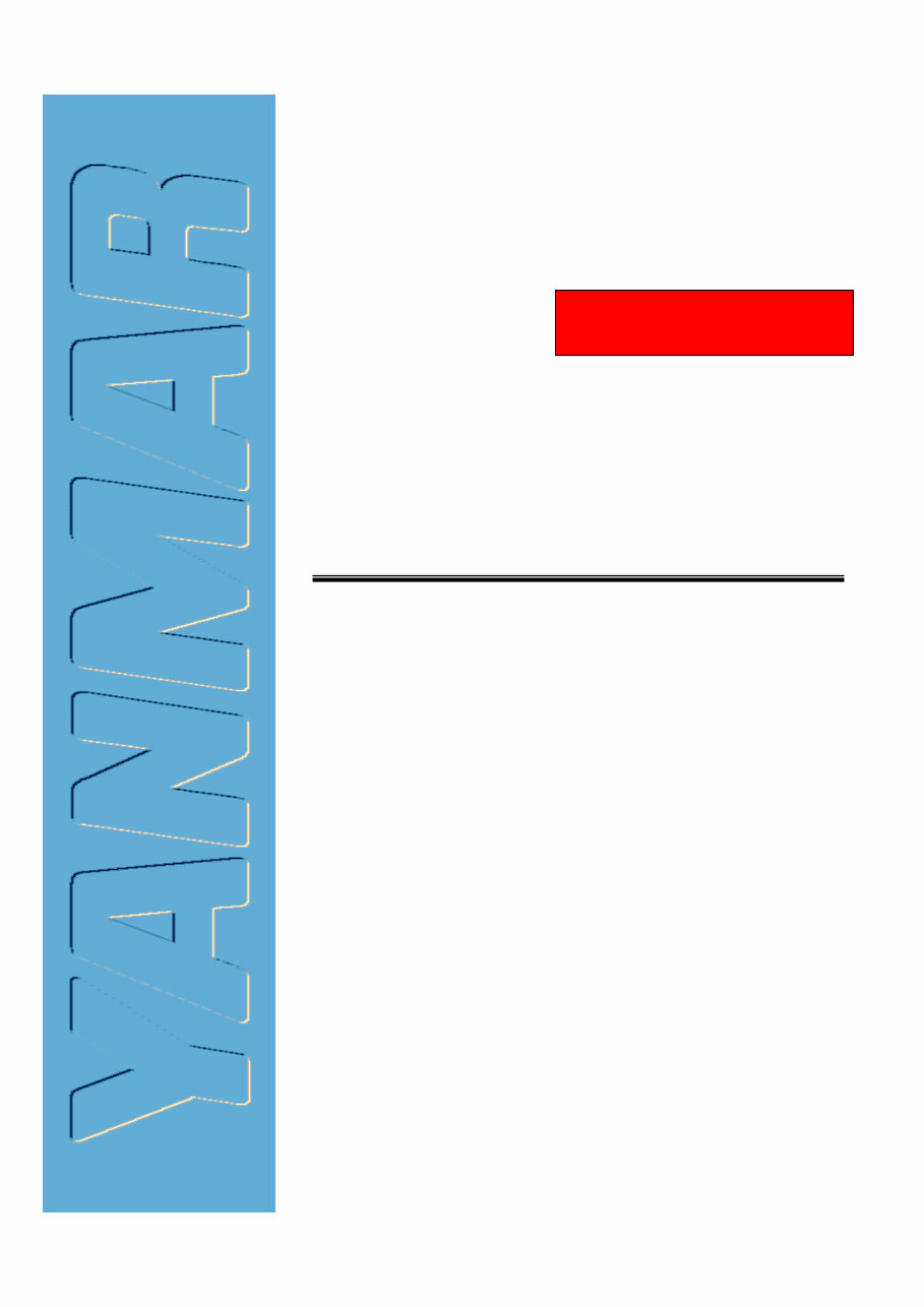 Yanmar Industrial Diesel Engine TN Series (2TN66E 3TN66E 3TNA72E 3TN75E 3TNC78E 3TN82E 3TN82TE 4TN82TE 4TN82E 4TN82TE 3TN84E 3TN preview img 1