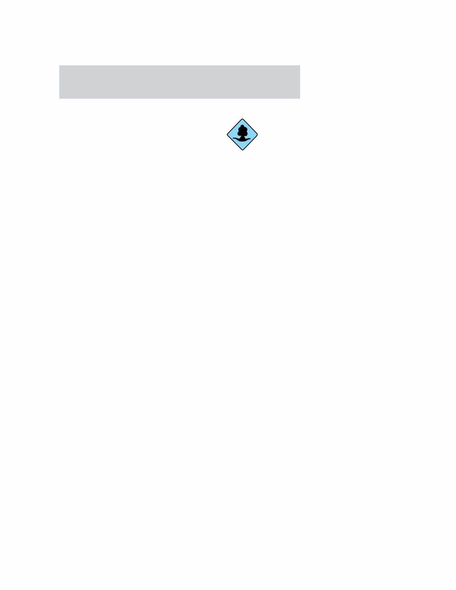 2002-2005 Ford Thunderbird Service & Repair Manual preview img 6