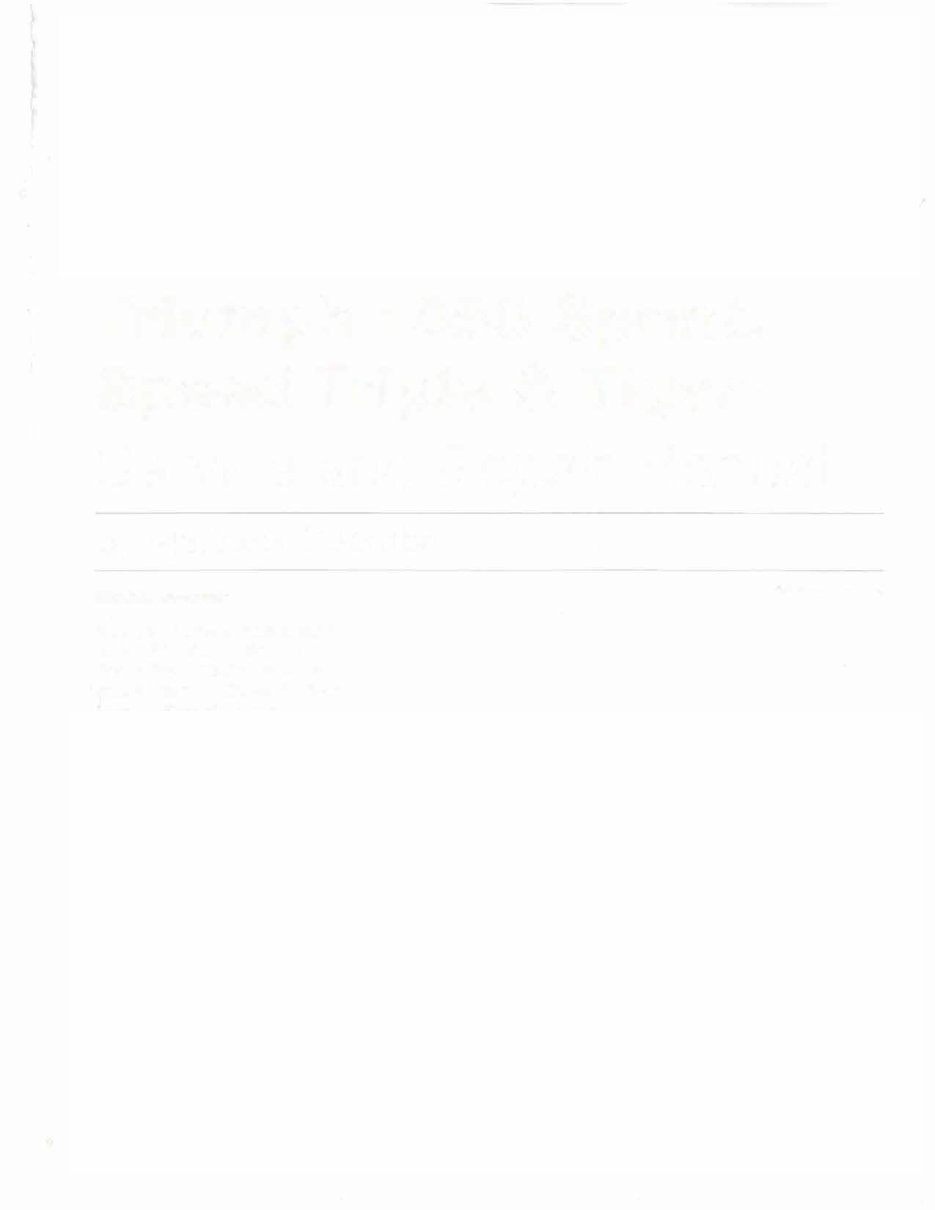 Triumph Sprint ST 1050 Service Repair Manual preview img 1