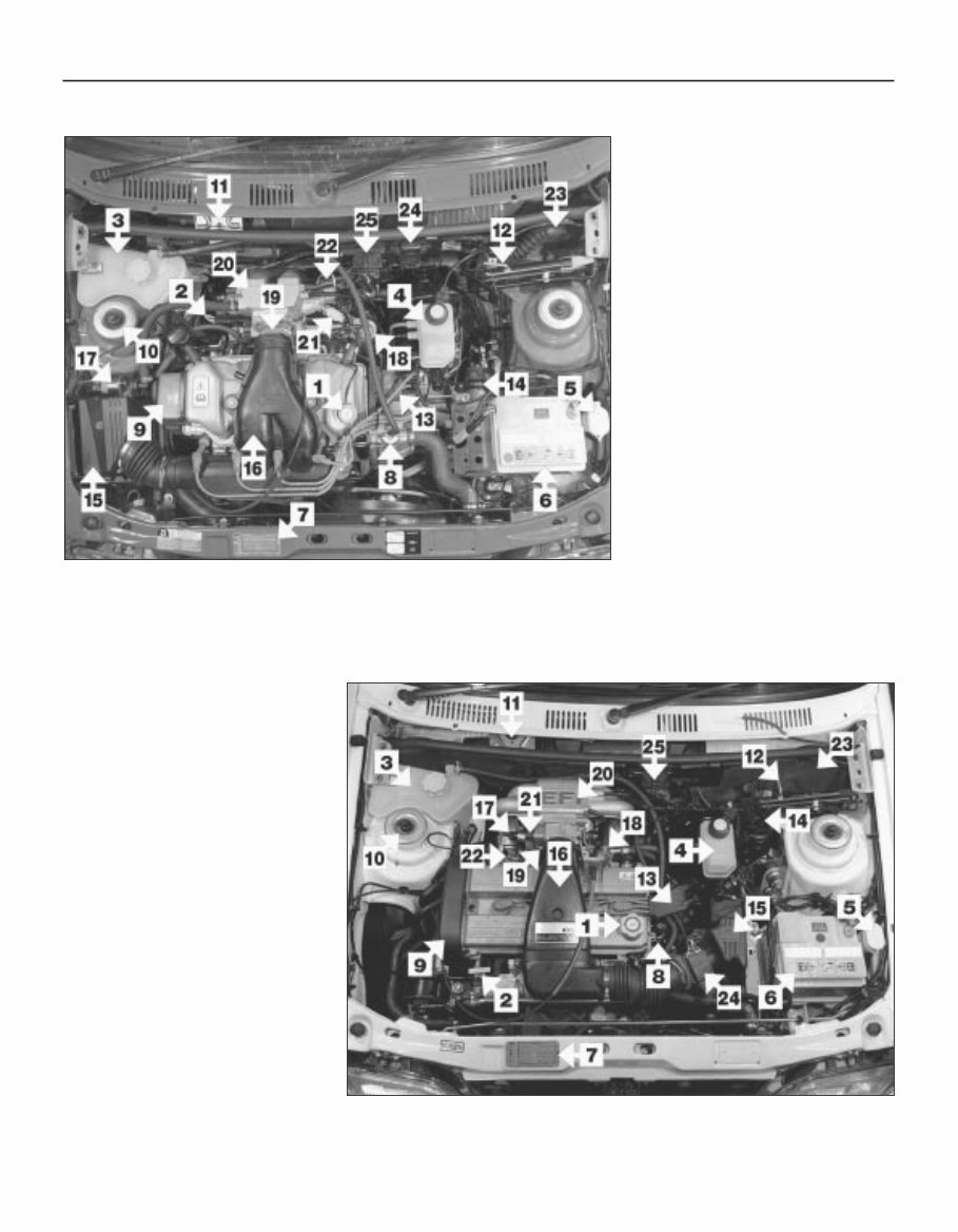 1997 Ford Fiesta Repair Service & Repair Manual preview img 6