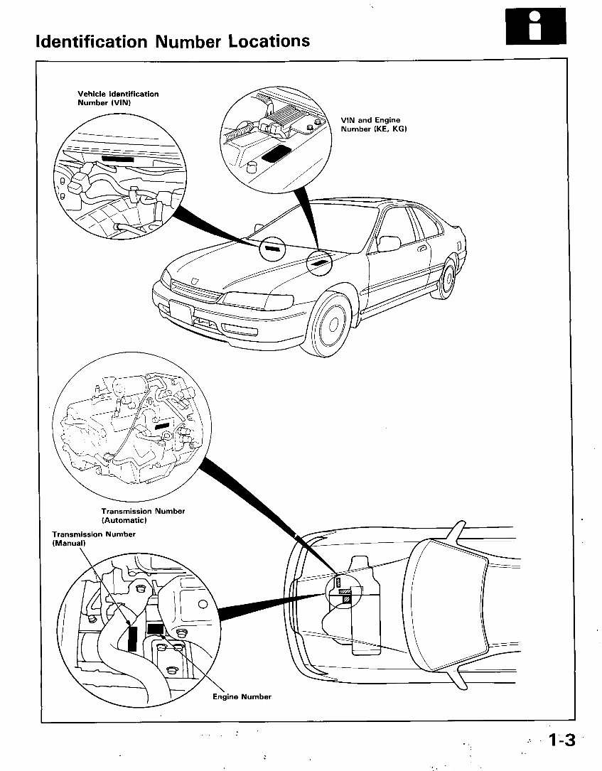1996 Honda Accord Service & Repair Manual preview img 4