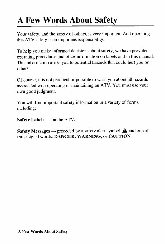 Honda TRX650FA Rincon Workshop Repair Manual preview img 4