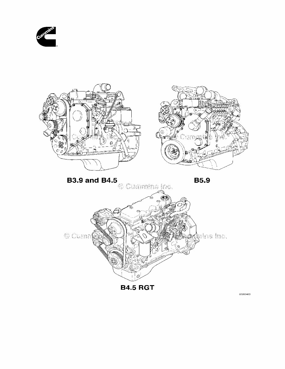 Cummins B3.9, B4.5, B4.5 RGT, B5.9 Engines Service Repair Manual preview img 2