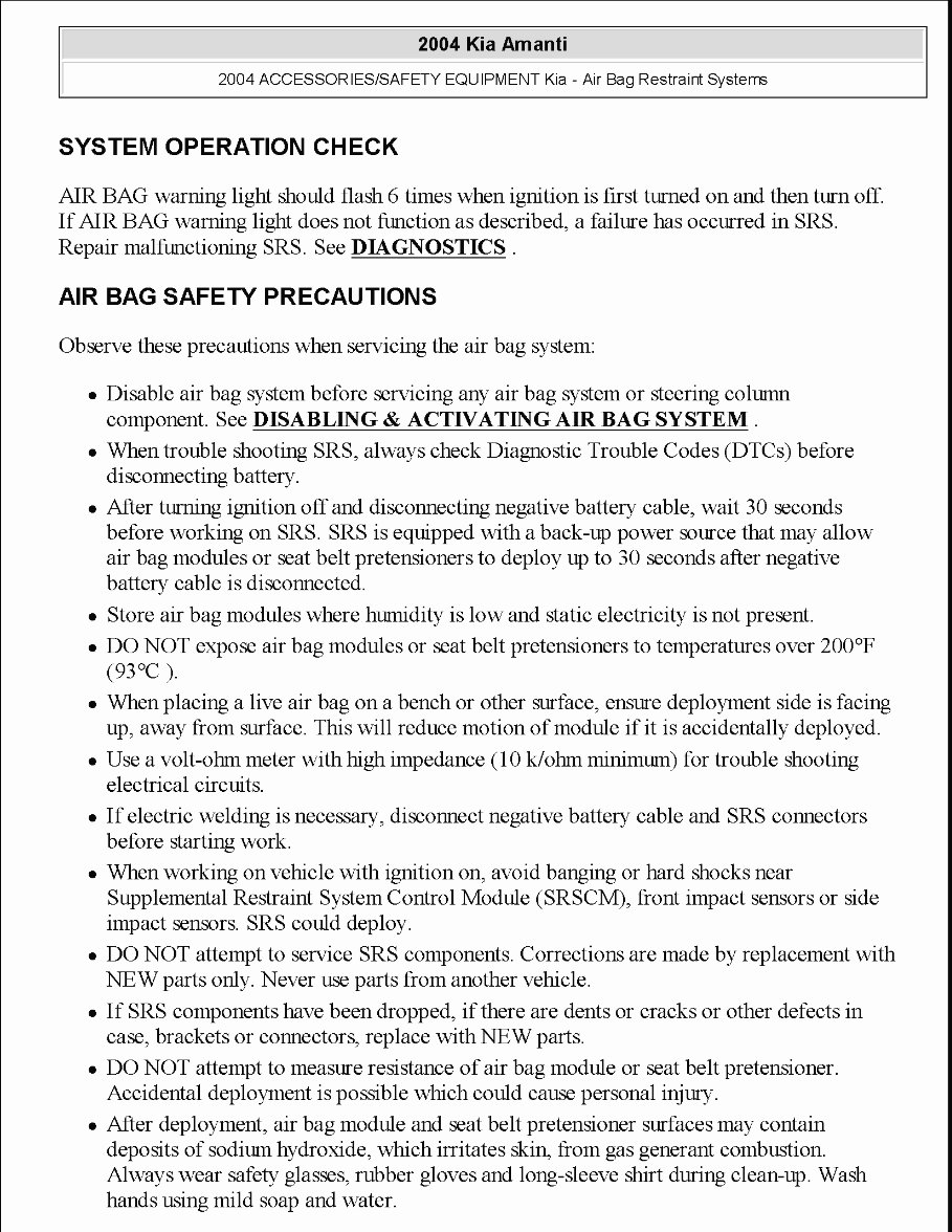 2004 KIA Amanti Service Repair Manual preview img 2