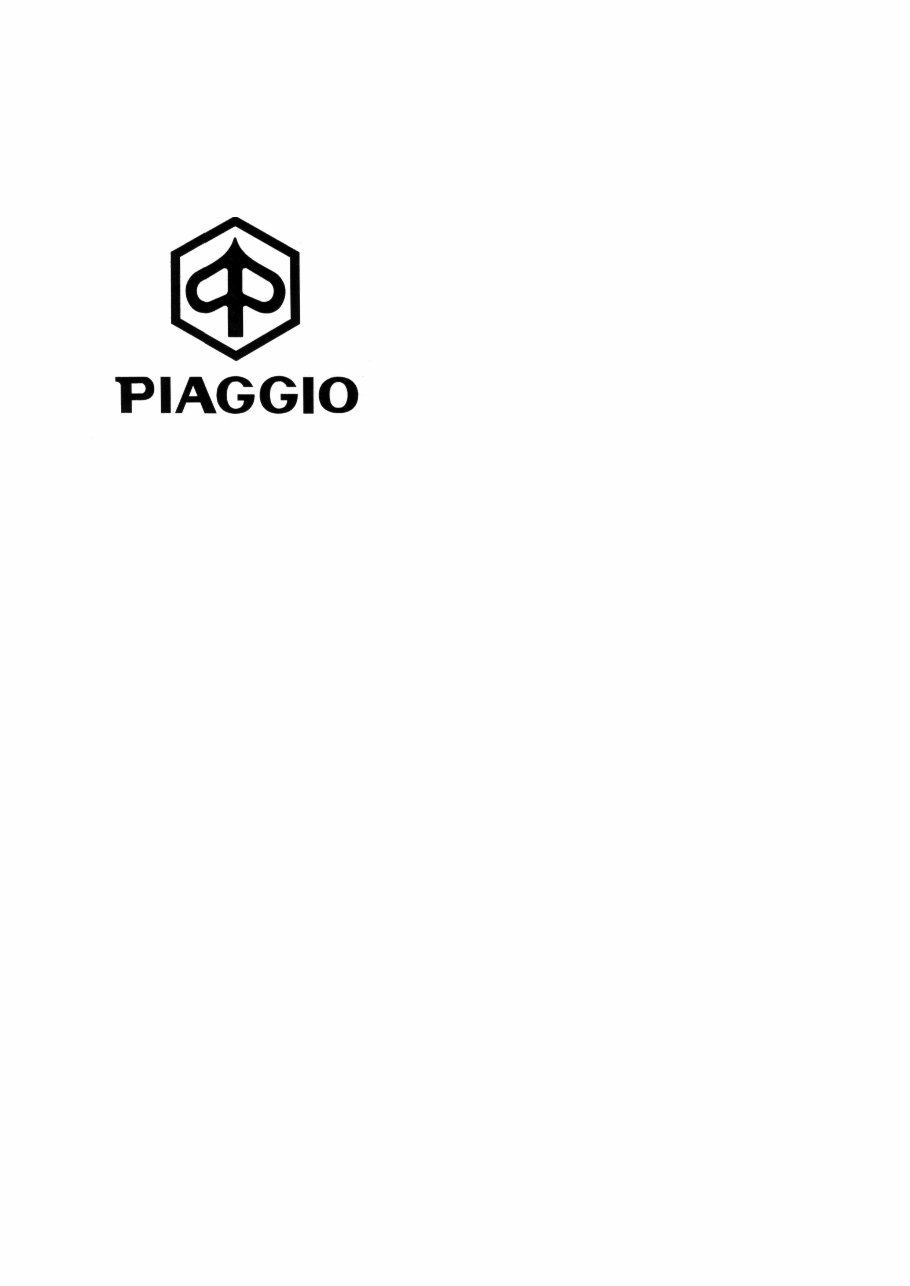 Piaggio X9 125 180 250 Service Repair Workshop Manual preview img 2