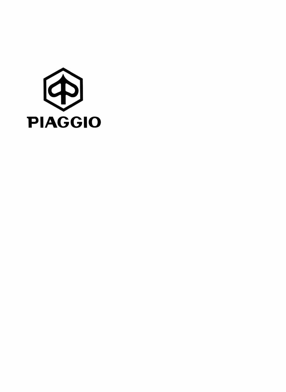 Piaggio X9 125 180 250 Service Repair Workshop Manual preview img 6