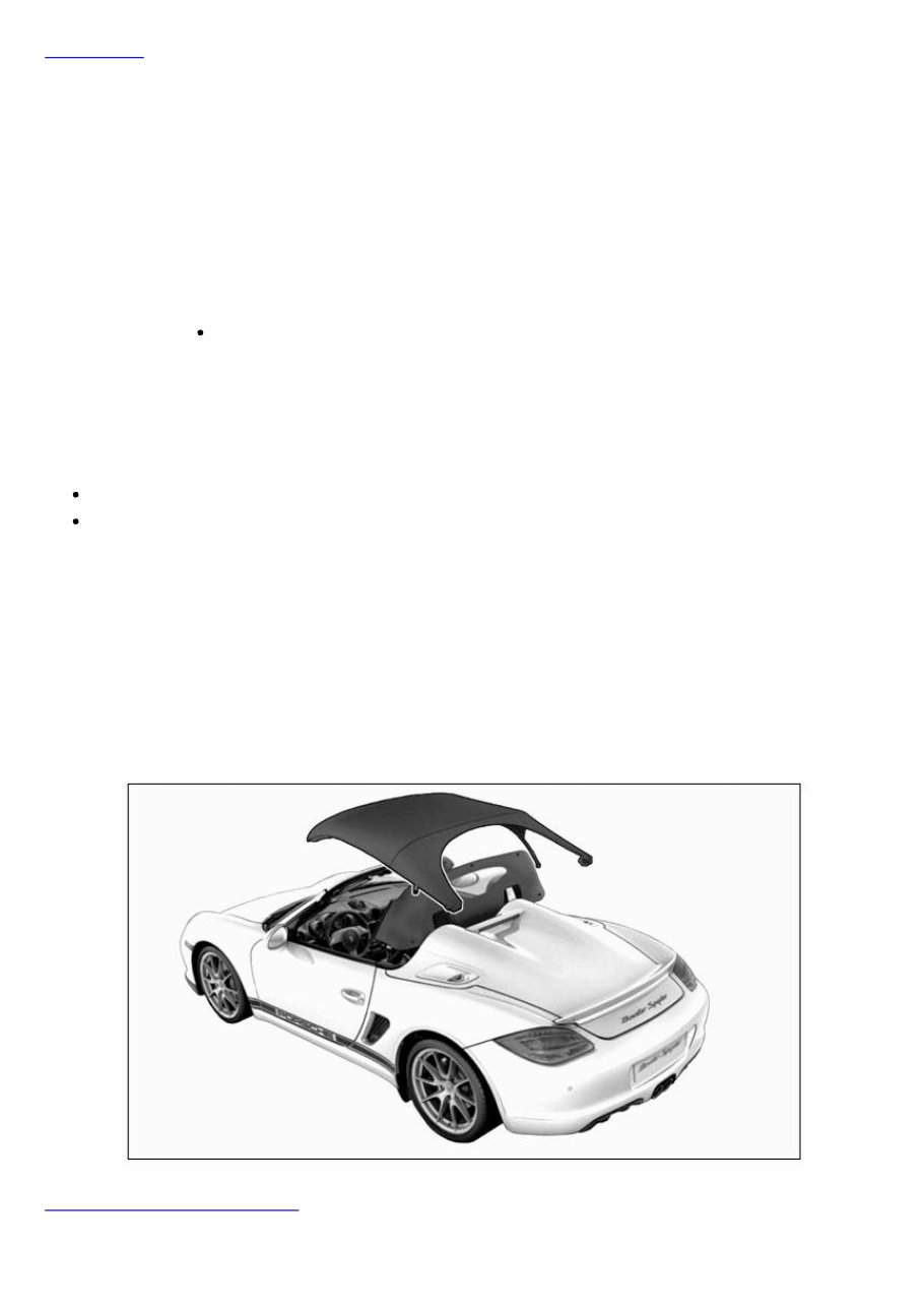 2009 Porsche Boxster Service & Repair Manual Software preview img 1