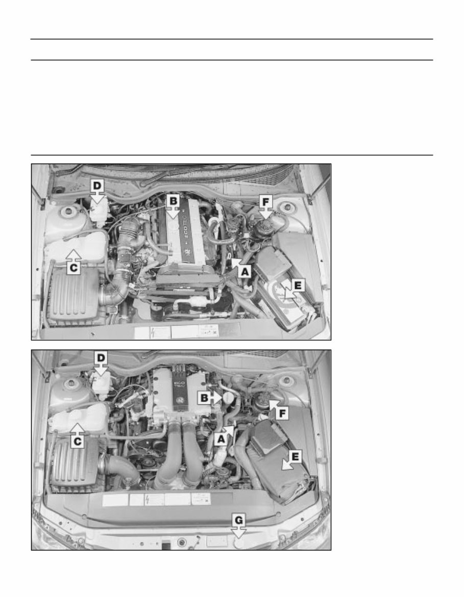 2002 VAUXHALL OMEGA B2 Service and Repair Manual preview img 10