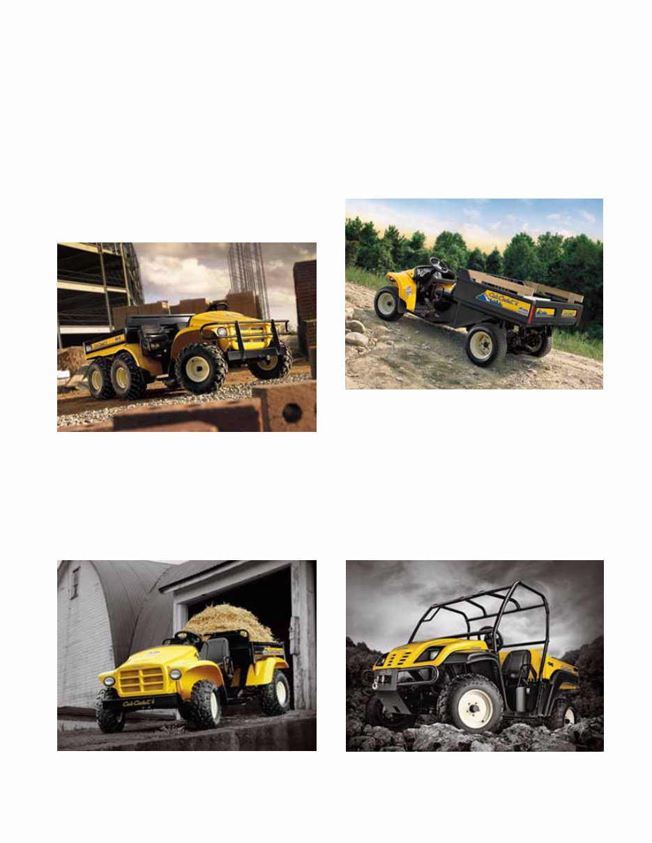 Cub Cadet 4x4 Utility Vehicle (w/Kohler Engine) Service & Repair Manual preview img 5
