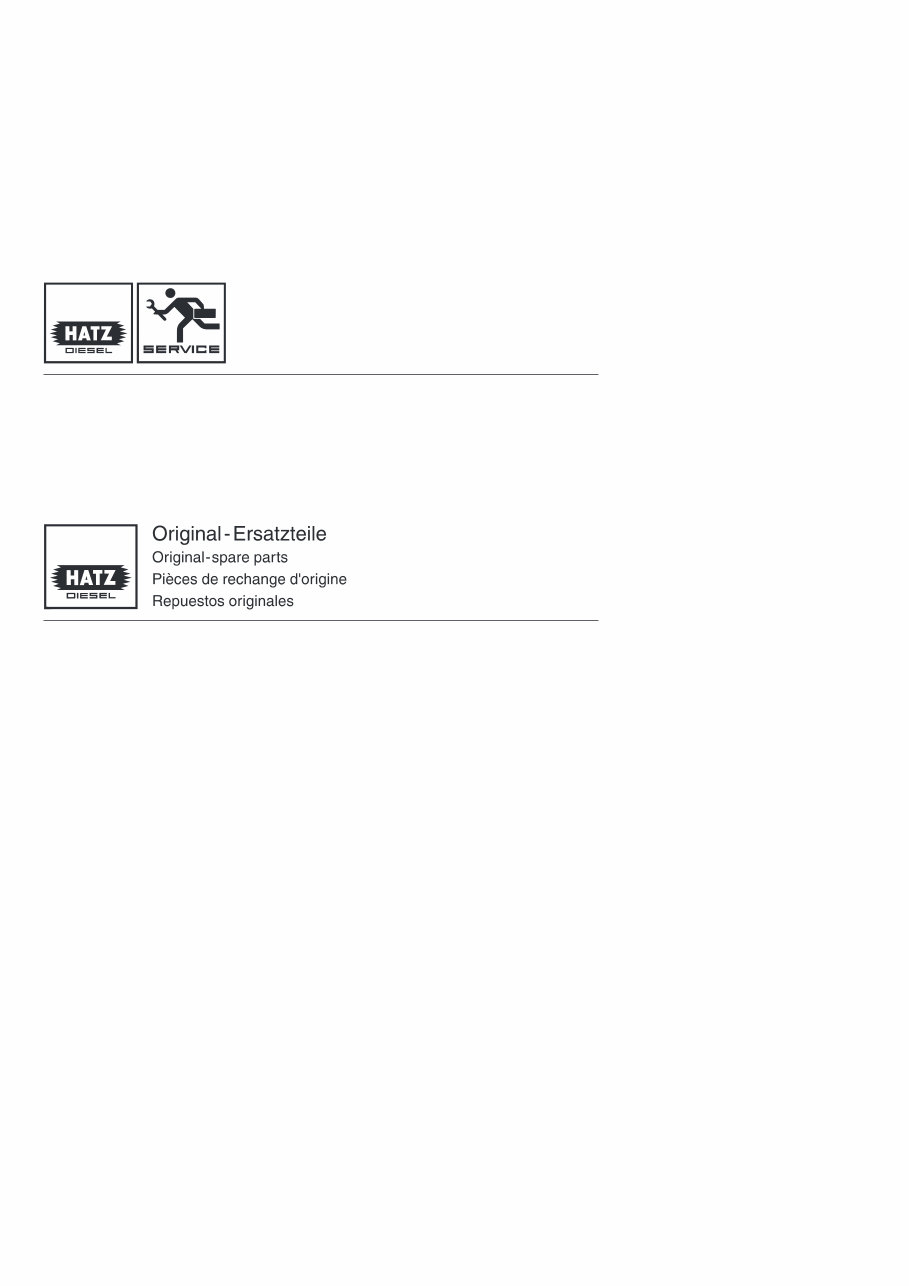 Hatz Diesel Engine Service Manual preview img 2