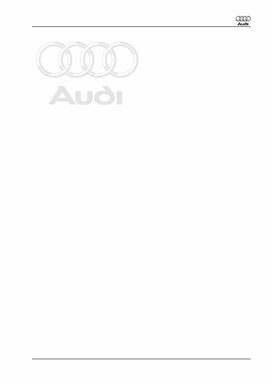 2002 Audi S4 Service & Repair Manual Software preview img 3