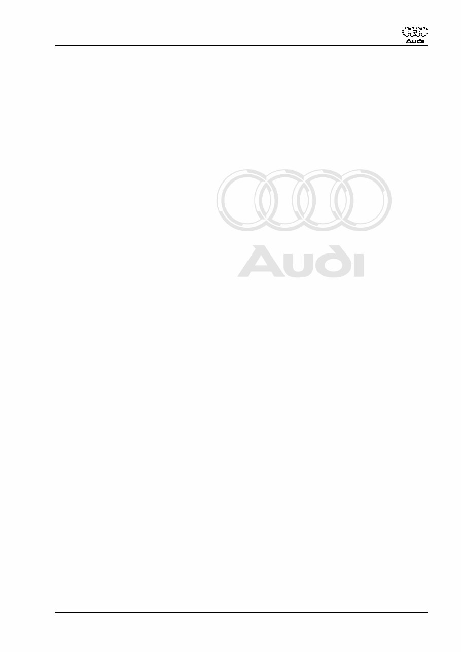 2002 Audi S4 Service & Repair Manual Software preview img 5