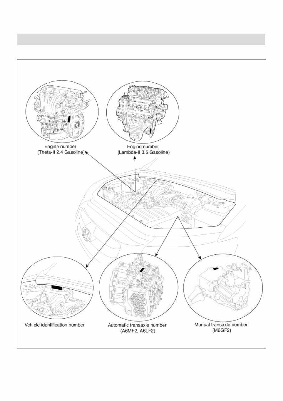 2010 Hyundai Santa Fe (CM) OEM Service & Repair Manual preview img 1