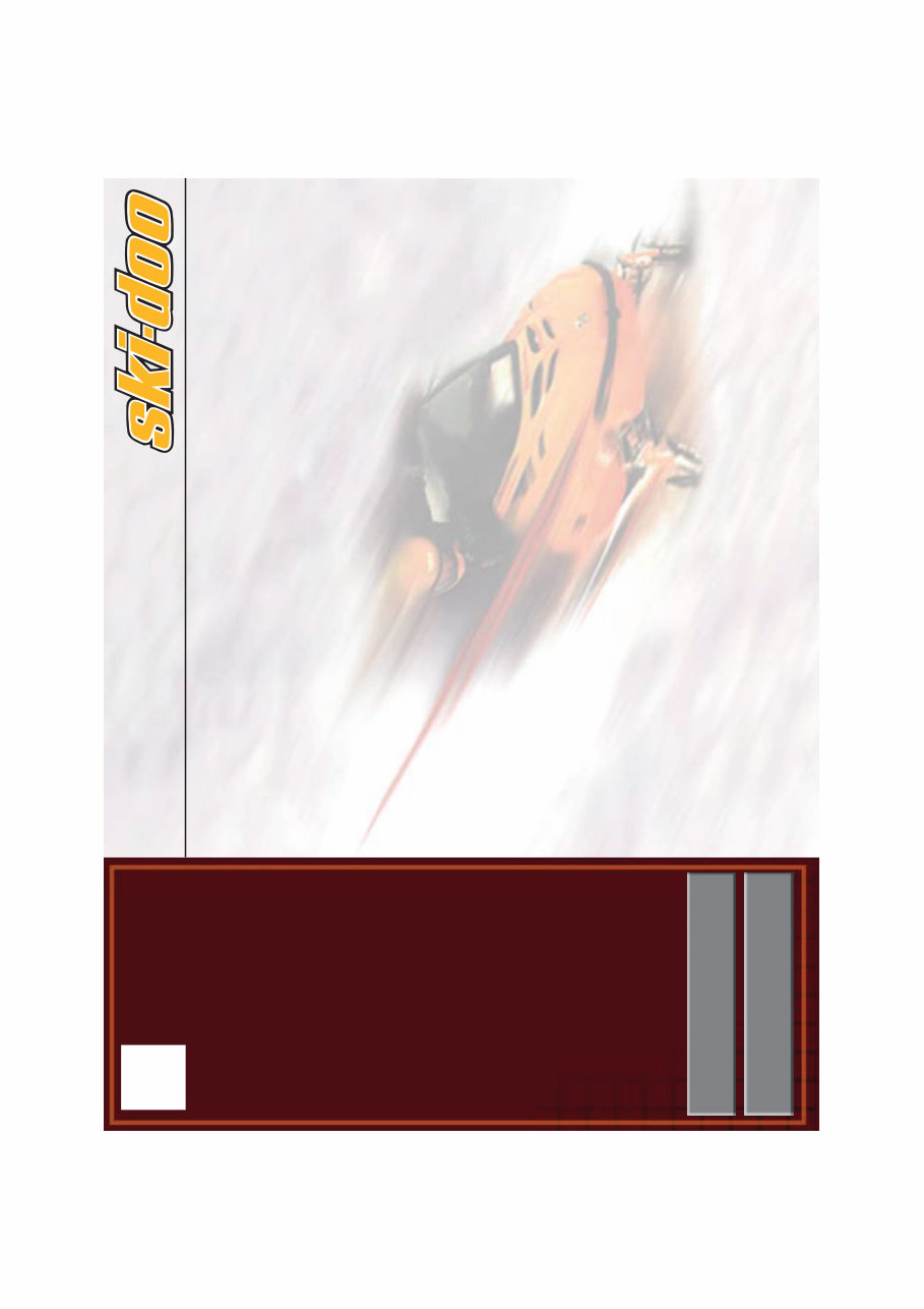 1998 Ski-Doo Formula lll 700 Service & Repair Manual preview img 9