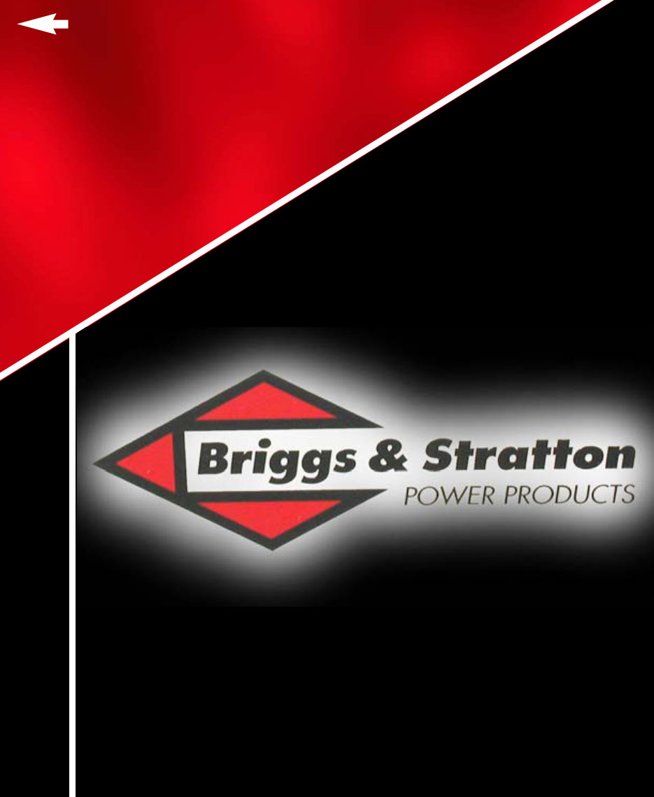 Briggs and Stratton 5 Hp Outboard Engine Repair Manual preview img 1