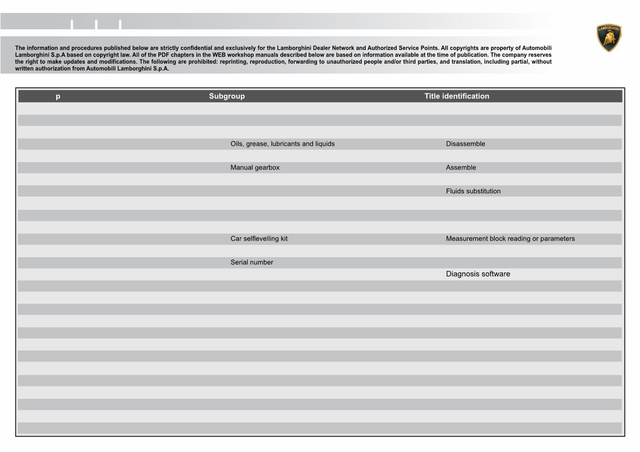 2010 Lamborghini Gallardo LP560 Service & Repair Manual preview img 2