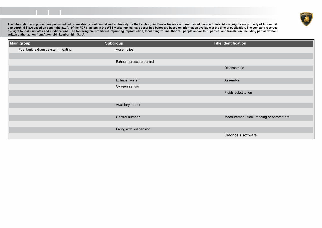 2010 Lamborghini Gallardo LP560 Service & Repair Manual preview img 4