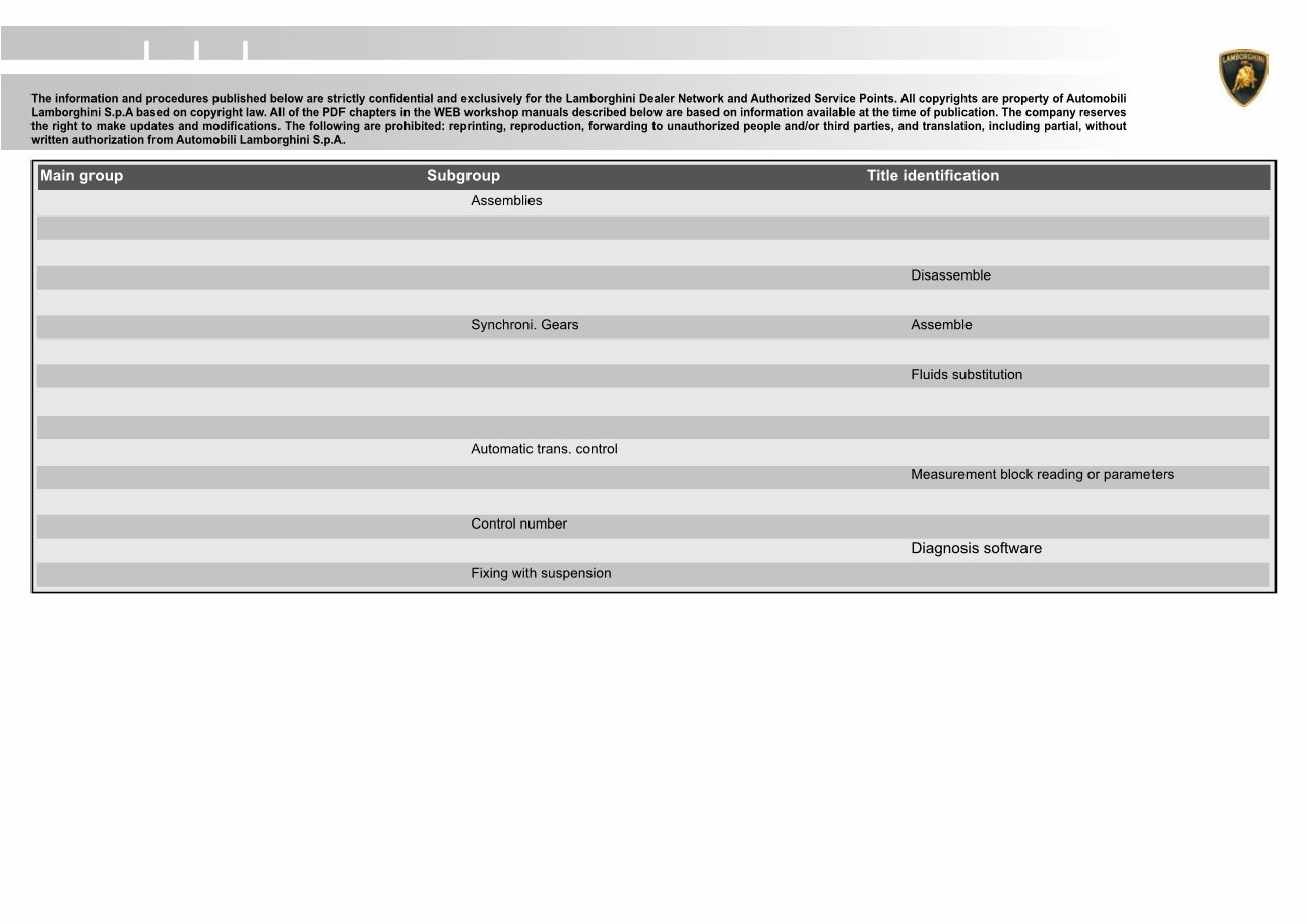 2010 Lamborghini Gallardo LP560 Service & Repair Manual preview img 5