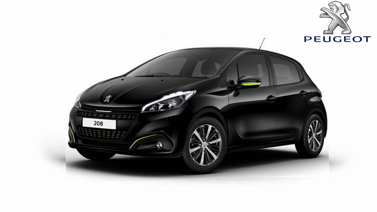2015 Peugeot 208 Service & Repair Manual preview img 1