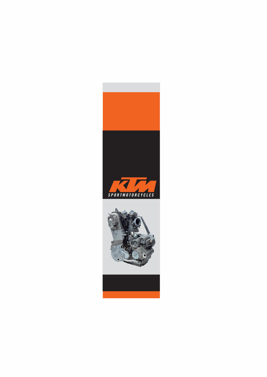 2000-2003 KTM 250 EXC Service & Repair Manual preview img 3