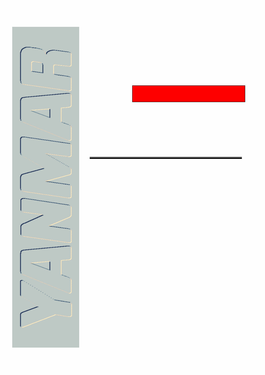 Yanmar TNE Engines (2TNE/3TNE/4TNE) OEM Service & Repair Manual preview img 1