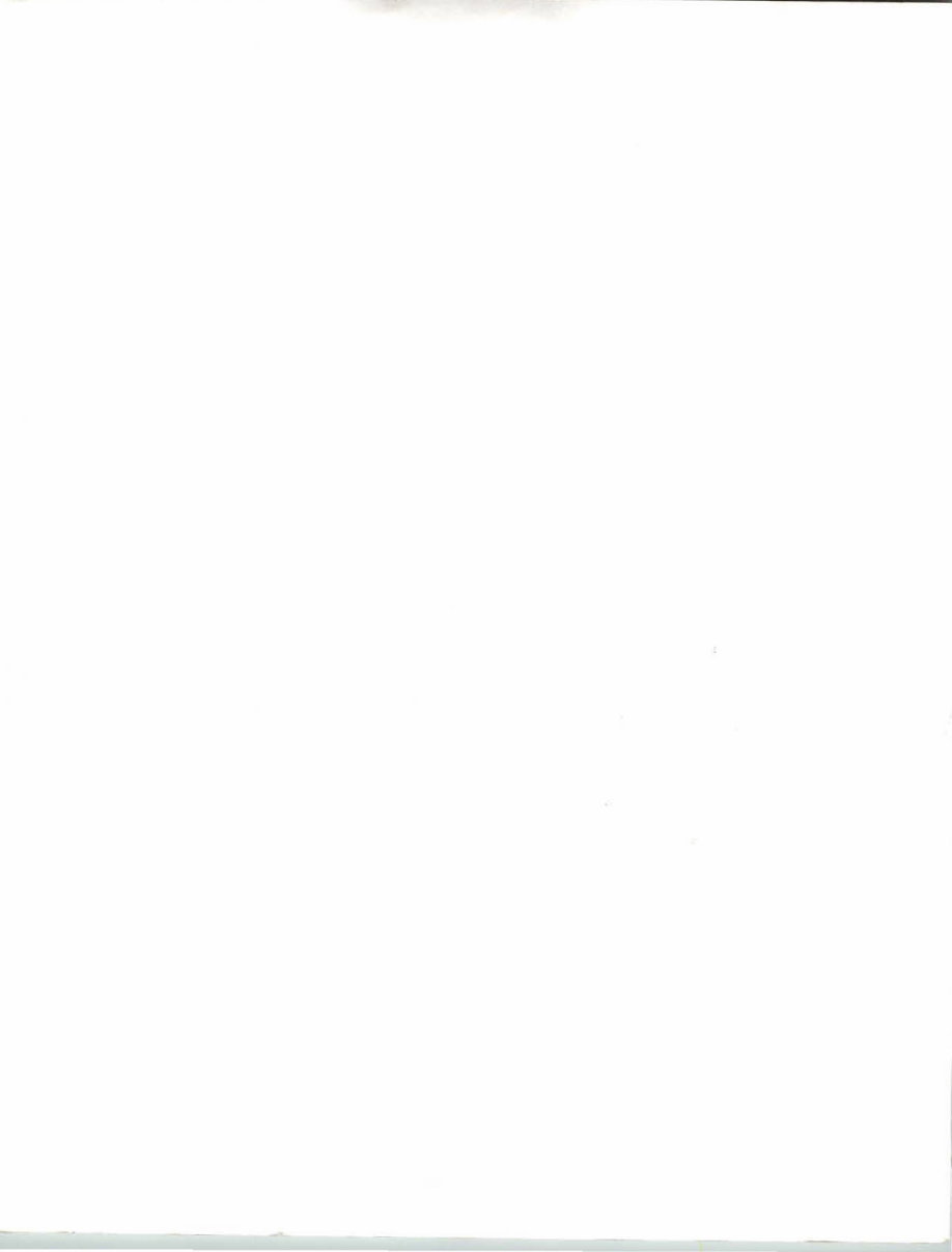 1984-1985 XL350R XL350 Service & Repair Manual preview img 2