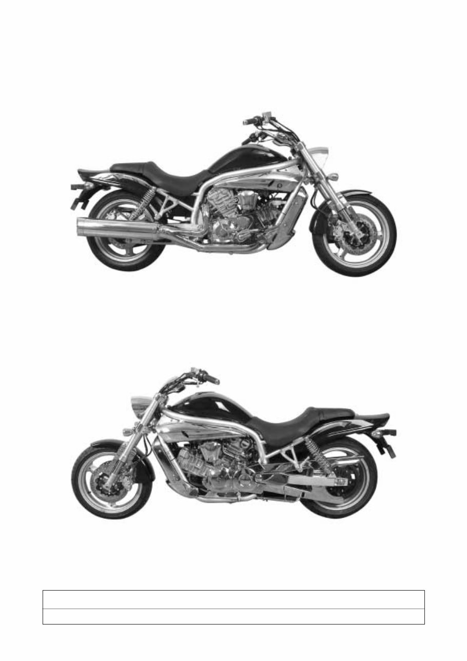 2005-2009 Hyosung Aquila 650 GV650 Service & Repair Manual preview img 4