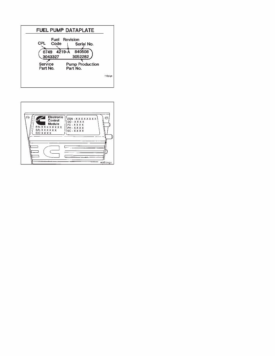 CUMMINS L10 Series EngineS (External Damper Models) SPECIFICATION Manual - ! preview img 6