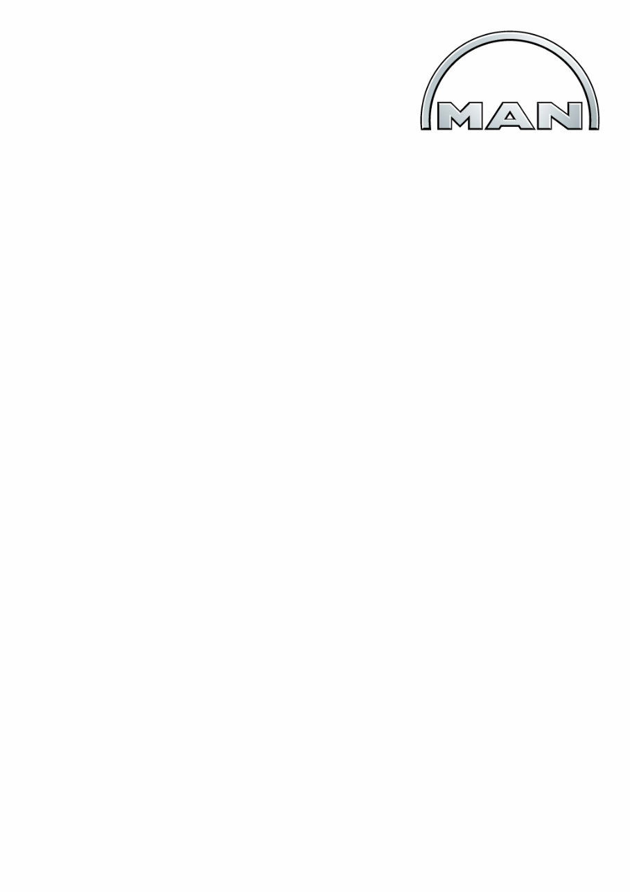 MAN Truck FAULT CODE DTC MESSAGE LIST Manual preview img 1