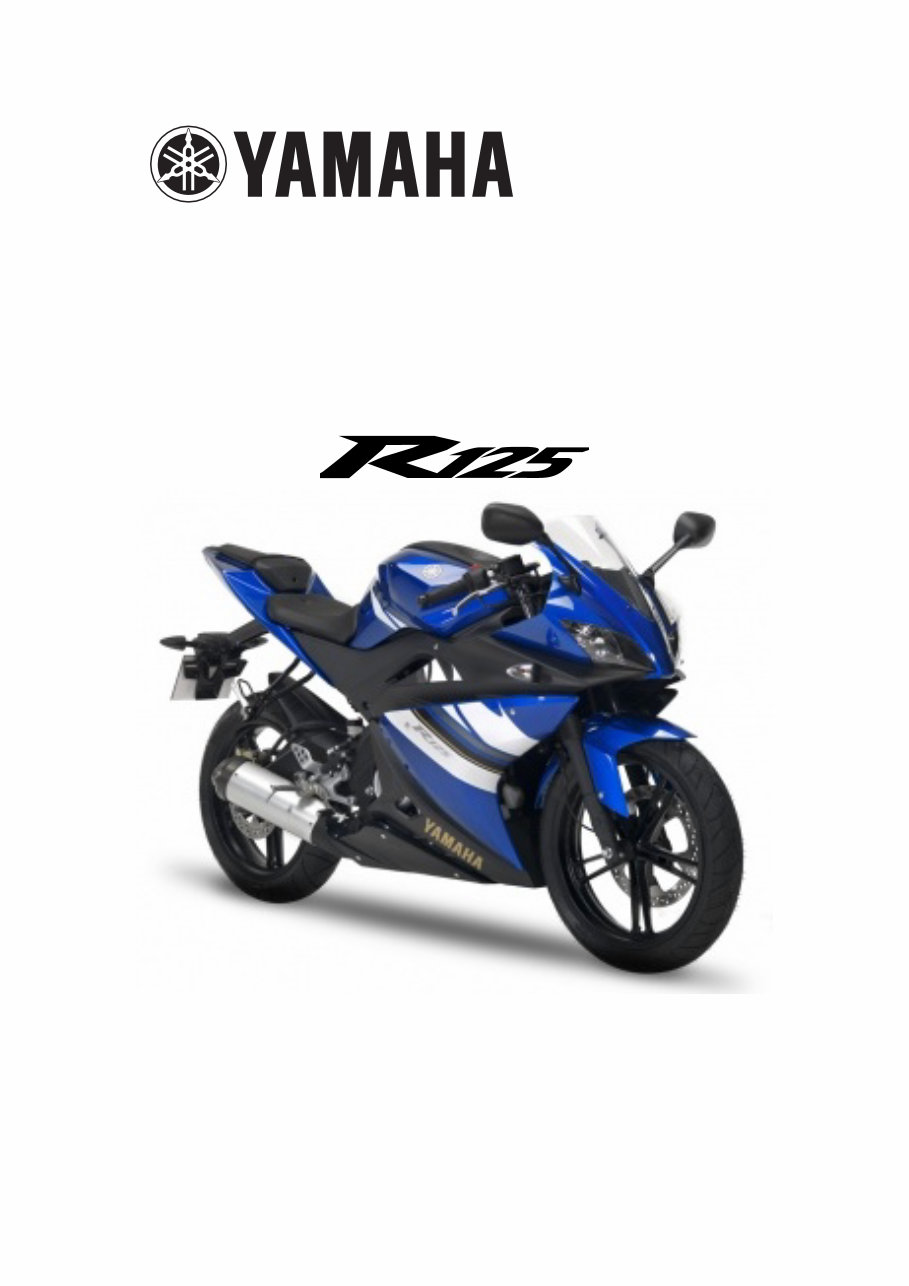 2008-2015 Yamaha YZF-R125 Service & Repair Manual preview img 1
