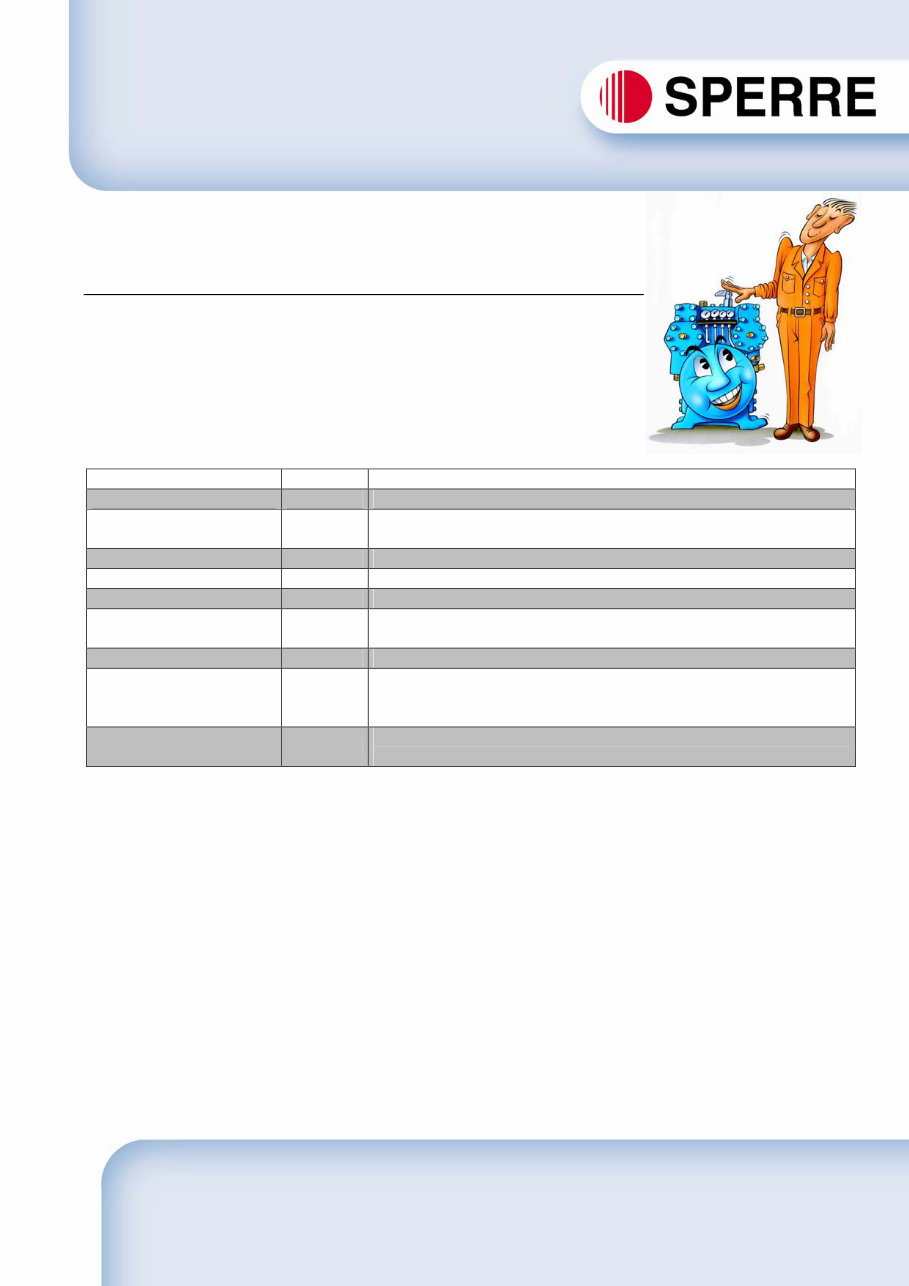 Sperre Air Cooled Compressor Workshop Manuals preview img 1