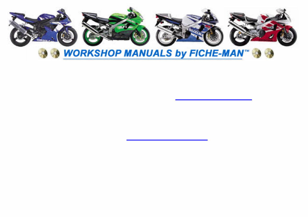 TRIUMPH DAYTONA 900 885CC Service Repair Manual 1992-1996 preview img 1