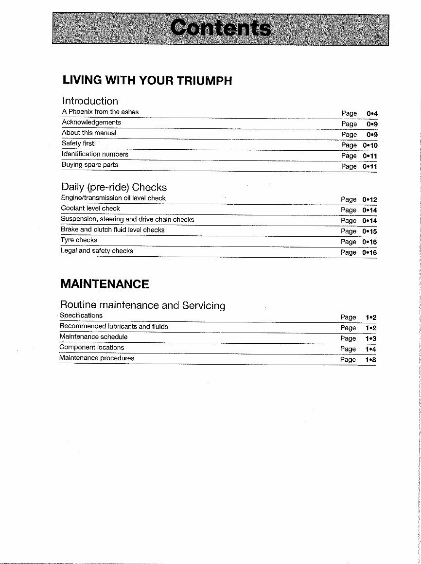 TRIUMPH DAYTONA 900 885CC Service Repair Manual 1992-1996 preview img 3