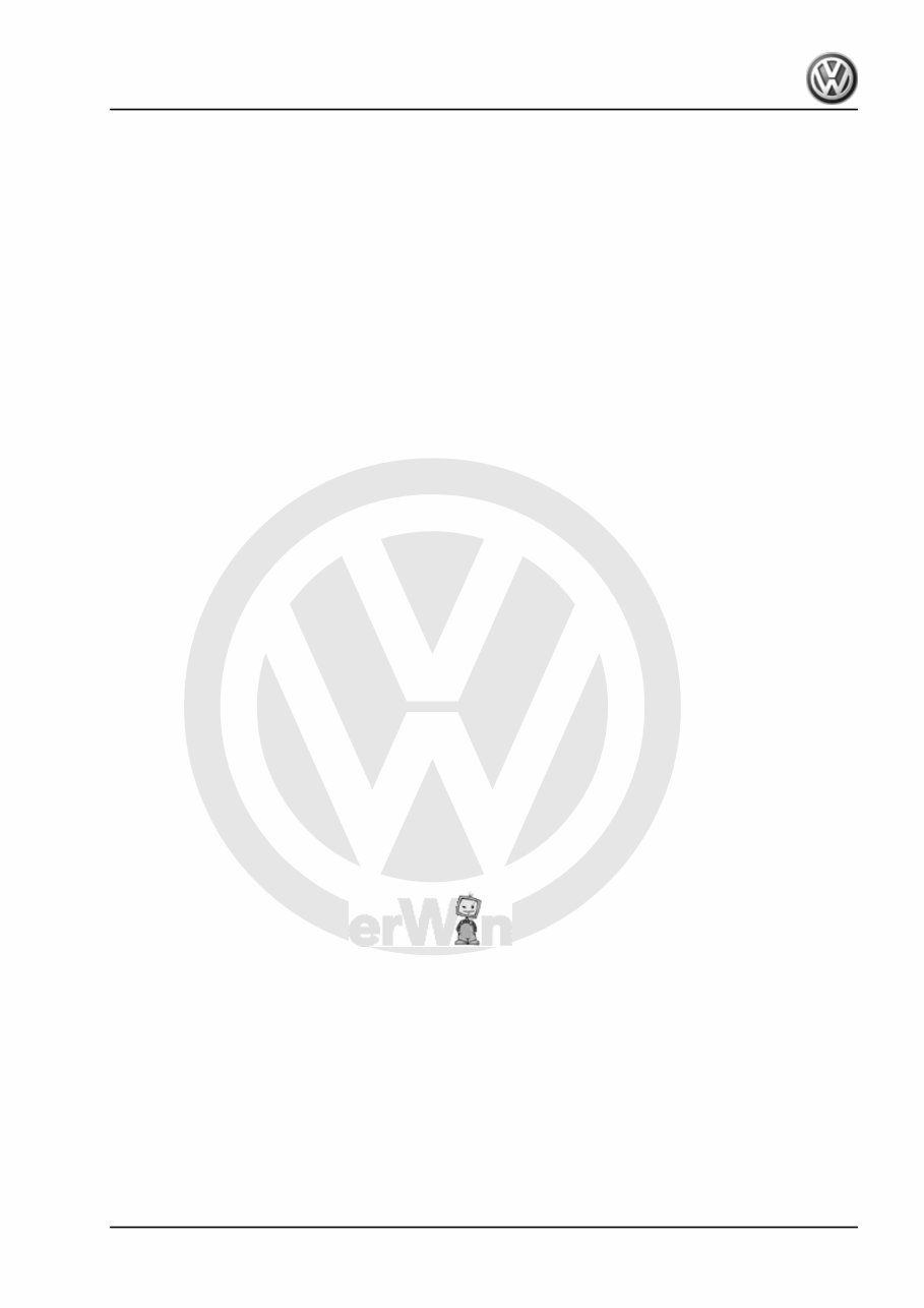 2002-2010 Volkswagen Polo OEM Service & Repair Manual preview img 3