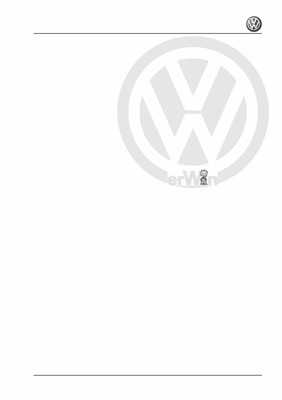 2002-2010 Volkswagen Polo OEM Service & Repair Manual preview img 5