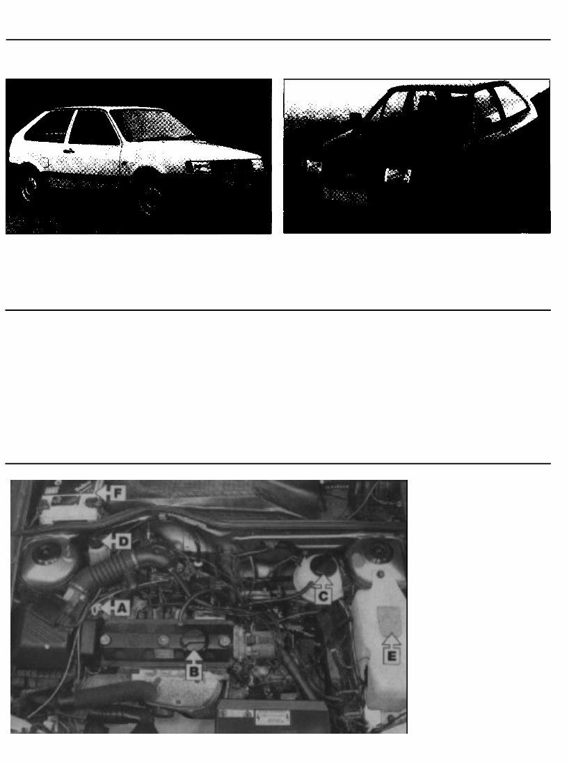 1990-1994 Volkswagen Polo Servie & Repair Manual preview img 10