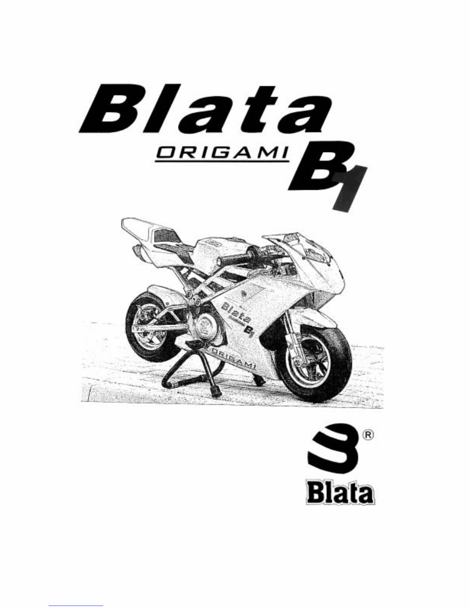 BLATA B1 ORIGAMI MINI Bike Service Manual preview img 1